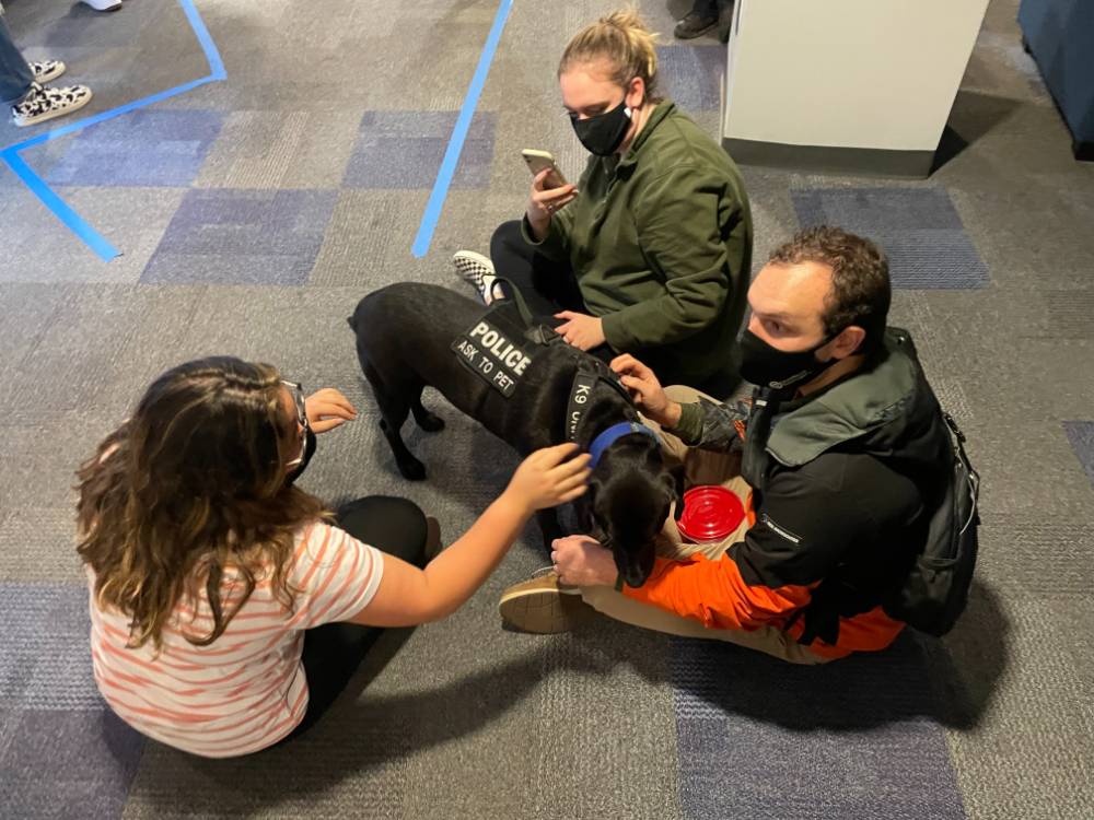 Resident Assistant Programming Event dog